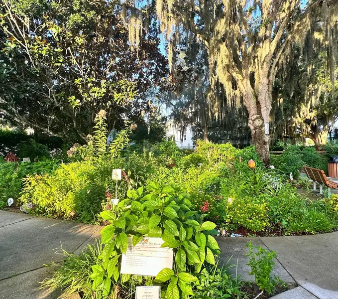 Butterfly Garden in Winter Garden along the West Orange Trail