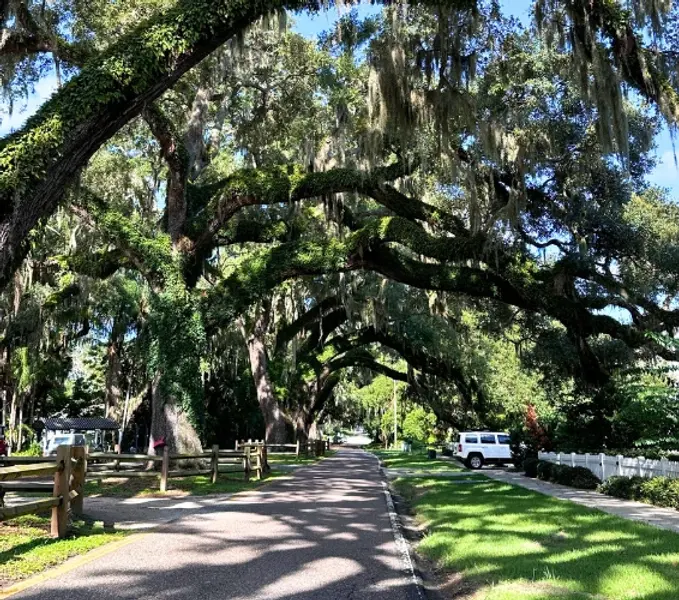West Orange Trail with Oaks Trees in Oakland, Florida