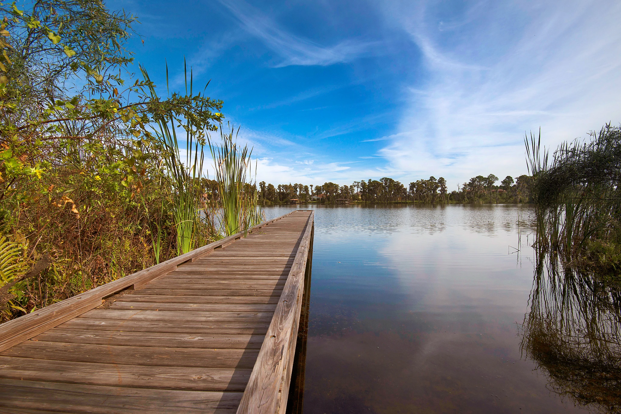 Keene's Pointe Lake Burden Boardwalk