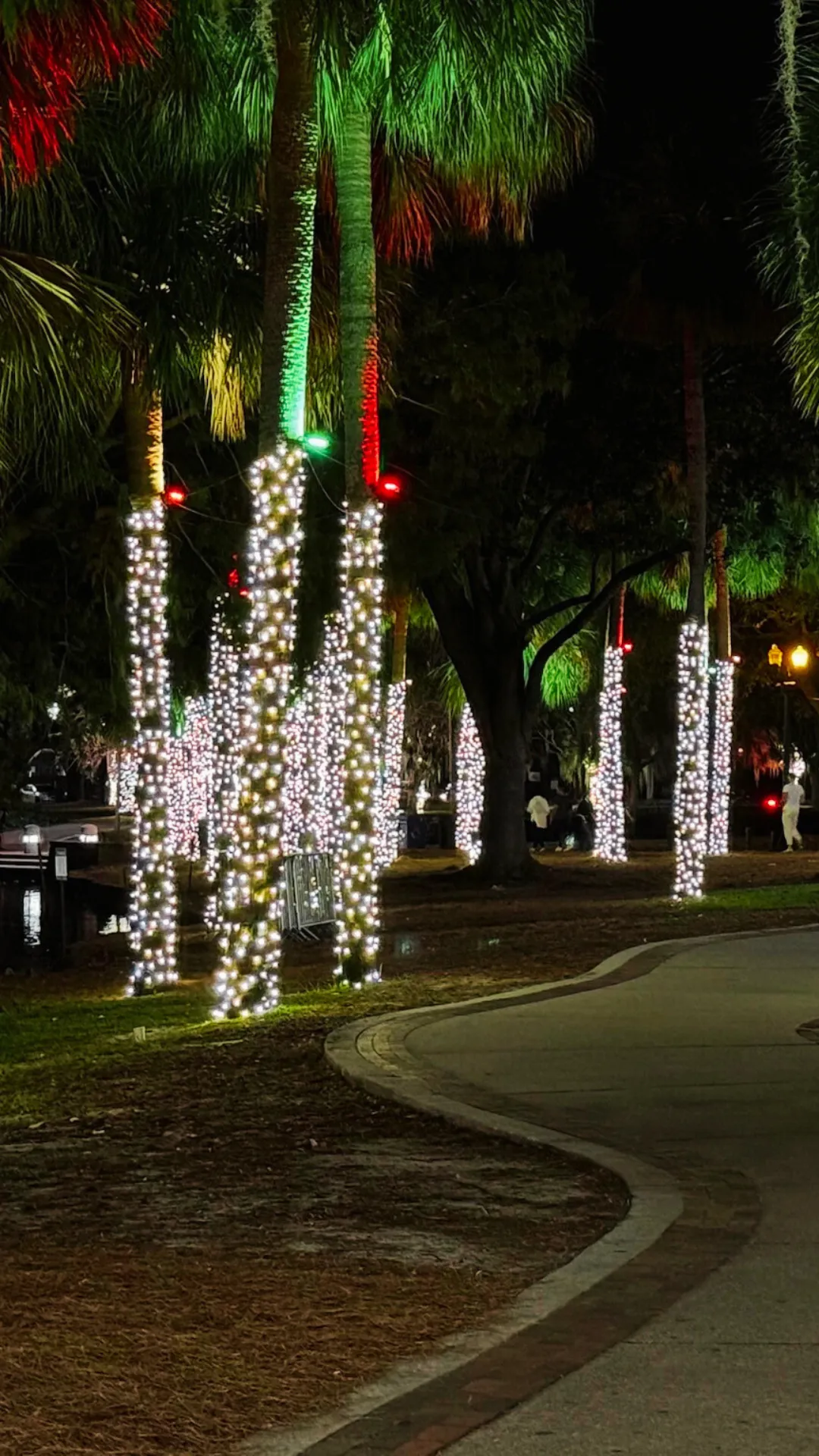 Lake Eola Light Display in Downtown Orlando