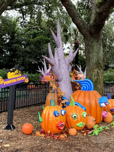 SeaWorld Spooktacular Pumpkin Display
