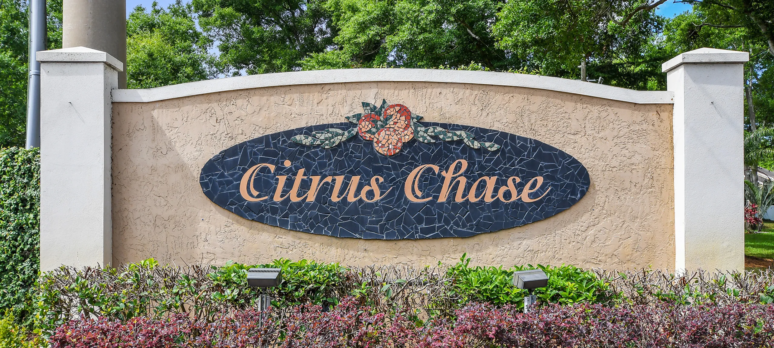 Citrus Chase Dr Phillips Real Estate