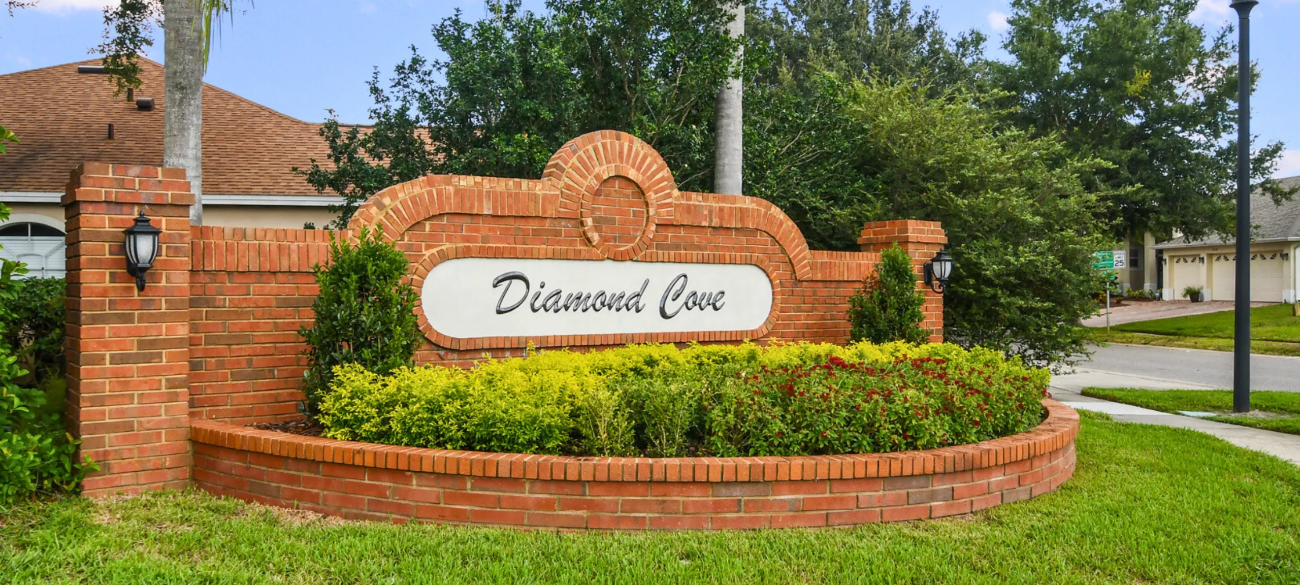 Diamond Cove Dr Phillips