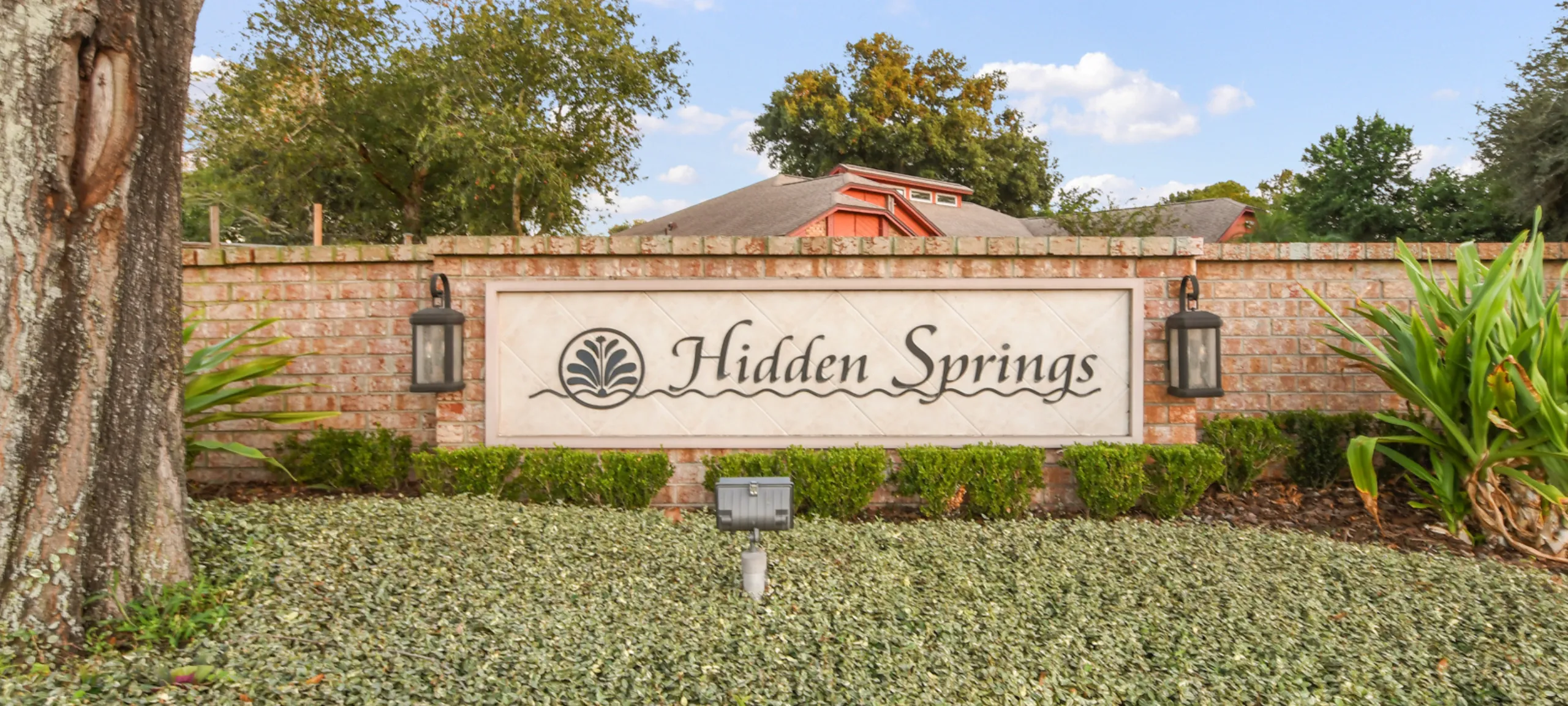 Hidden Springs Dr Phillips