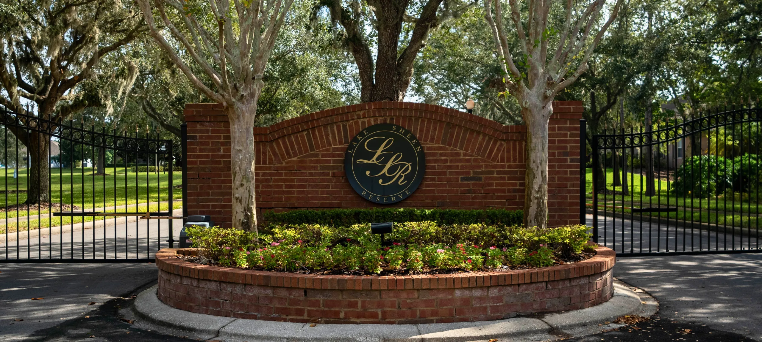 Lake Sheen Reserve Dr. Phillips Real Estate