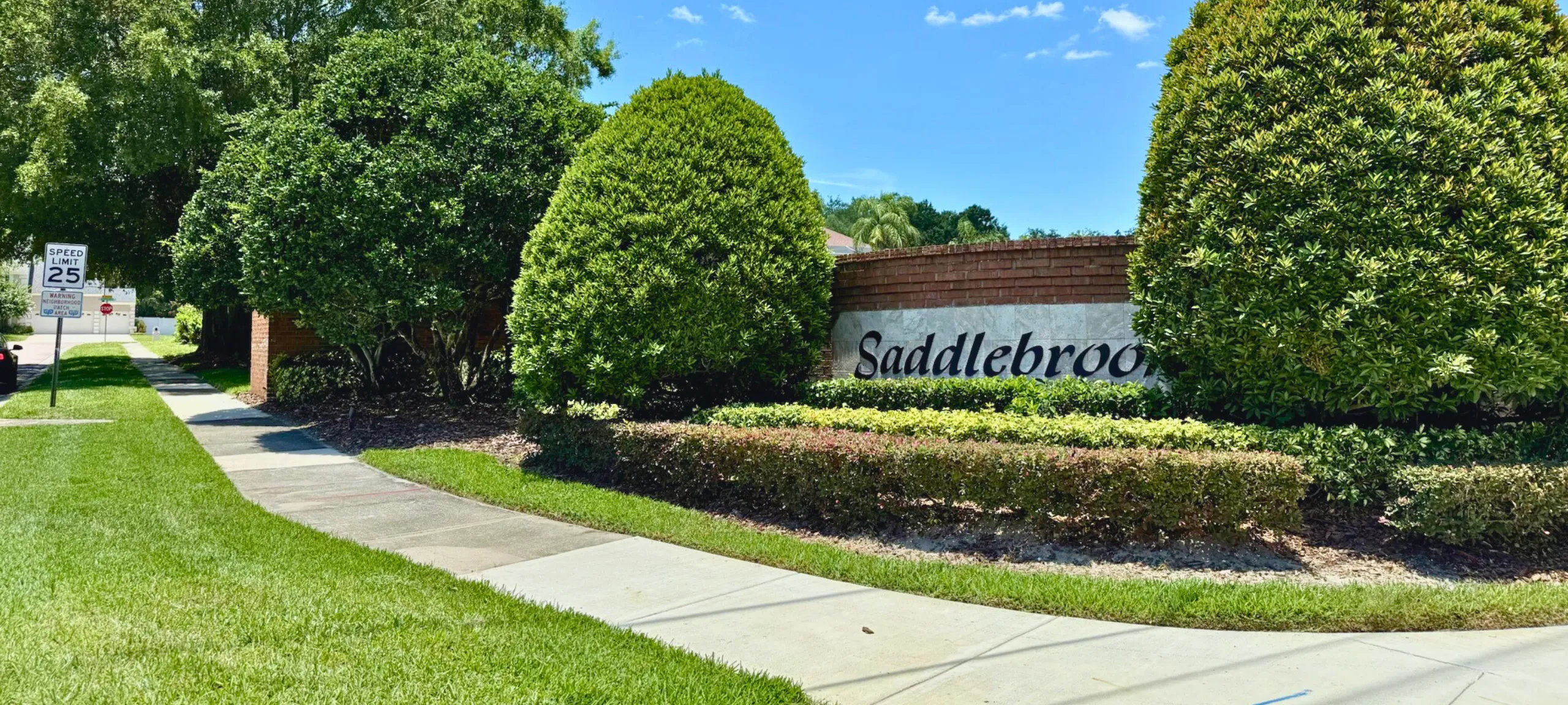 Saddlebrook Gotha Real Estate