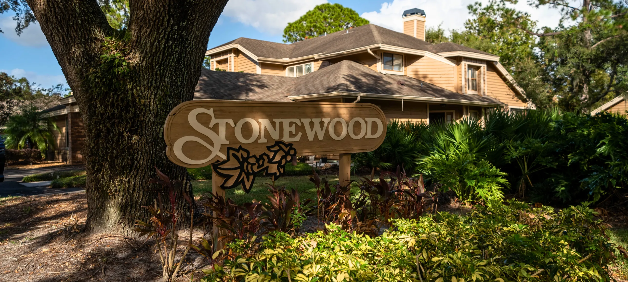 Stonewood Manor Dr Phillips Real Estate