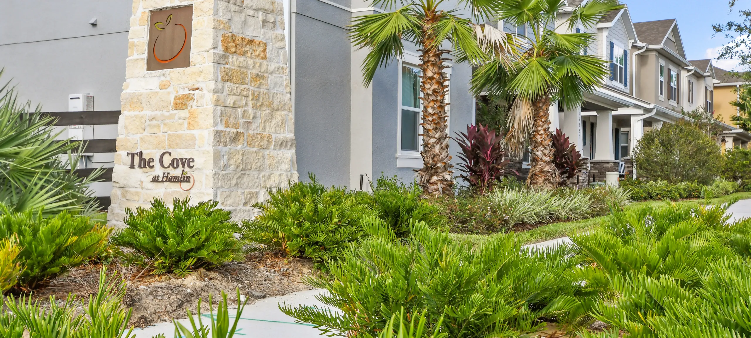 Cove at Hamlin Winter Garden