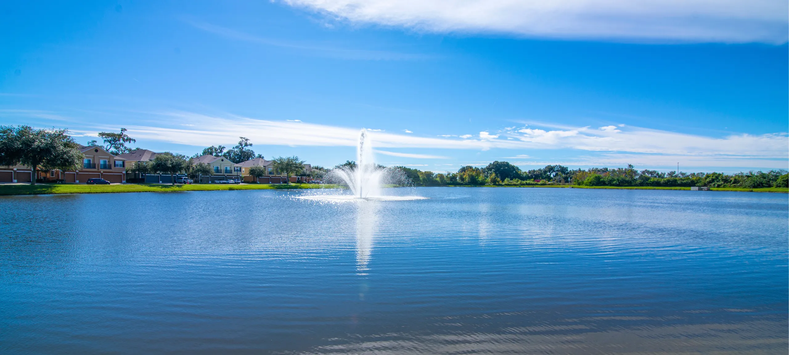 Tucker Oaks Winter Garden Real Estate