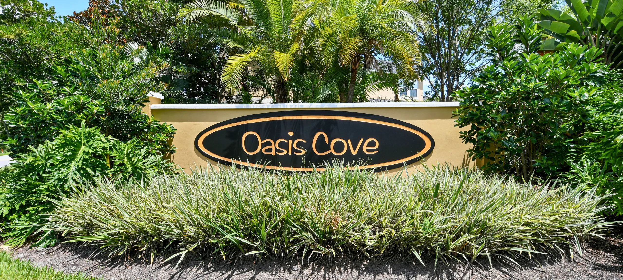 Oasis Cove Windermere Florida